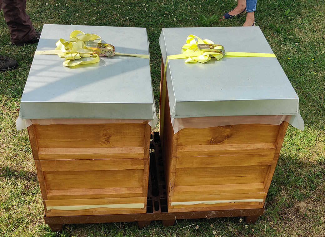 Die Bienenstöcke bleiben zur Sicherheit mit Spanngurten verschlossen.