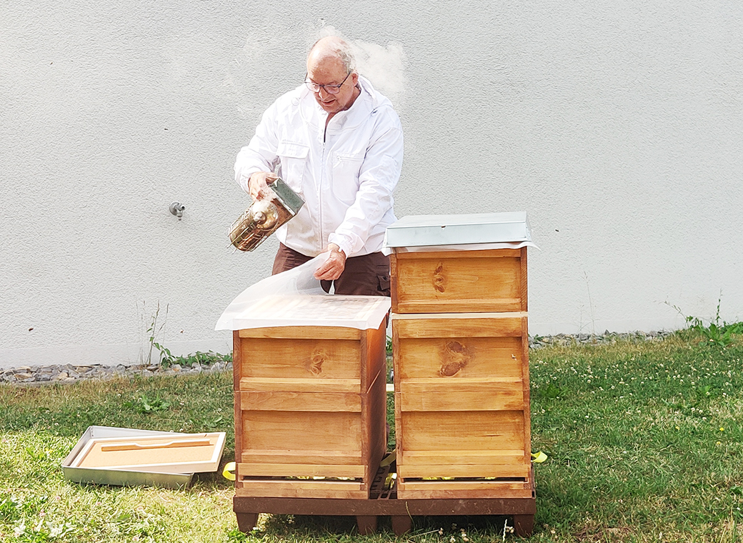 Der Rauch verhindert, dass die Bienen den Imker stechen.