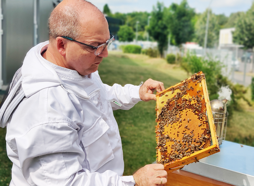Imker Bernd Spanbalch bei der Arbeit.