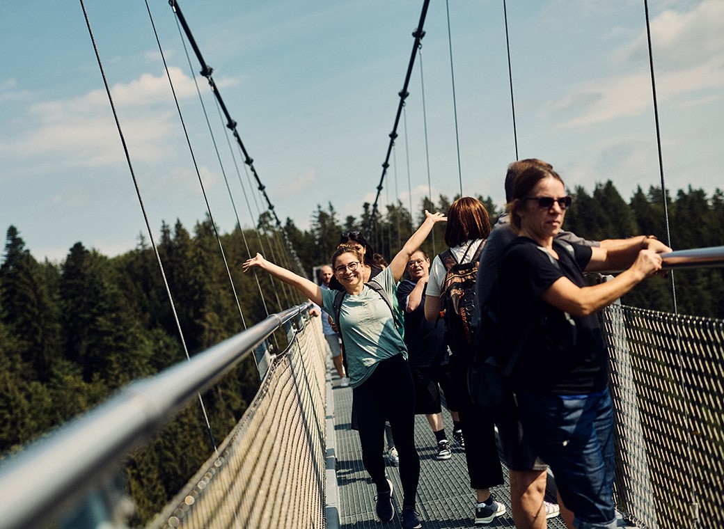 The narrow suspension bridge offered a magnificent view over the forests.